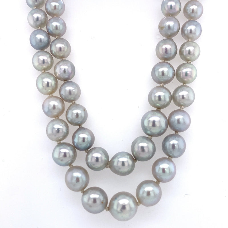 Vintage 1950's cultured blue-grey double strand of pearls - KFKJewelers